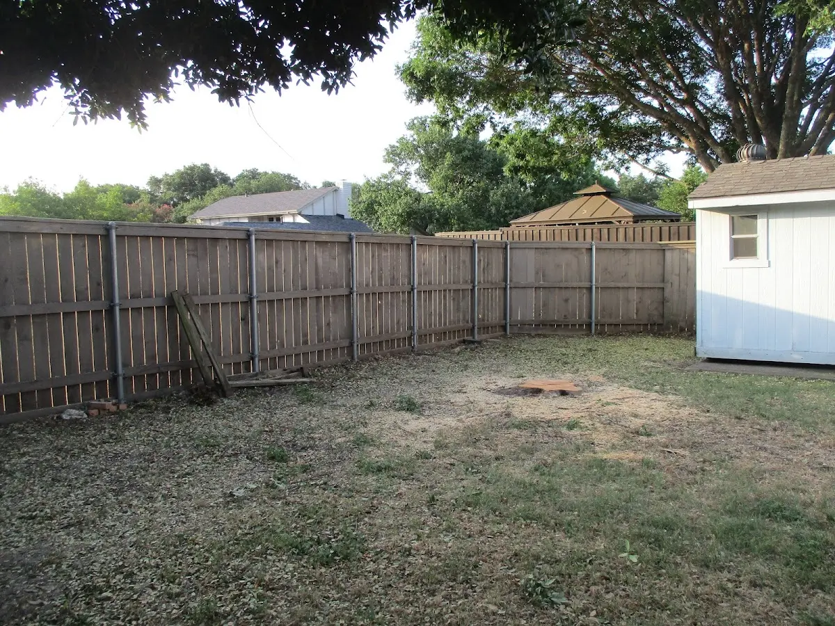 Cleared yard after professional tree removal in Blue Point