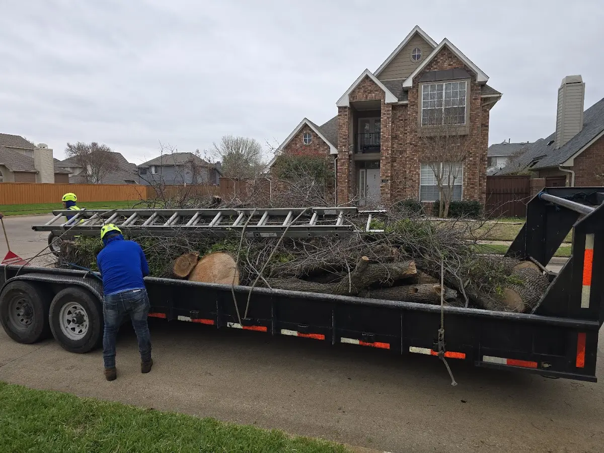Expert Lot Clearing with proper safety equipment in Blue Point